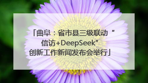 曲阜：省市县三级联动“信访+DeepSeek”创新工作新闻发布会举行