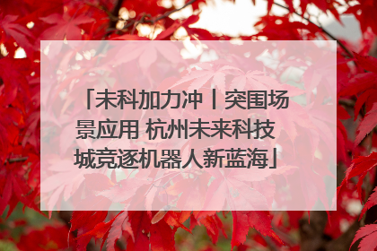 未科加力冲丨突围场景应用 杭州未来科技城竞逐机器人新蓝海