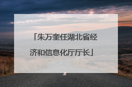 朱万奎任湖北省经济和信息化厅厅长