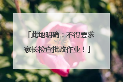 此地明确：不得要求家长检查批改作业！