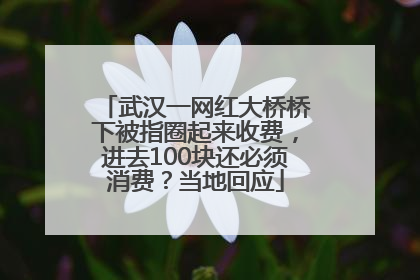 武汉一网红大桥桥下被指圈起来收费，进去100块还必须消费？当地回应