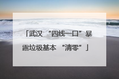 武汉 “四线一口”暴露垃圾基本 “清零”