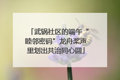 武锅社区的端午“睦邻密码”龙舟桨声里划出共治同心圆