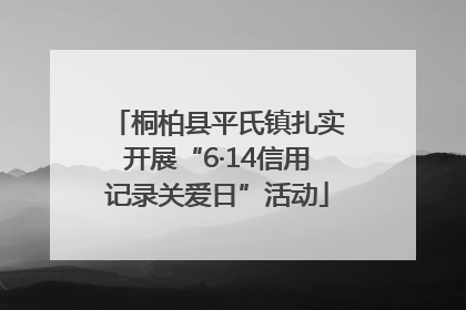 桐柏县平氏镇扎实开展“6·14信用记录关爱日”活动