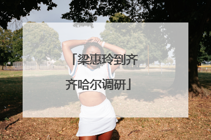 梁惠玲到齐齐哈尔调研