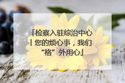 检察入驻综治中心丨您的烦心事，我们“格”外用心
