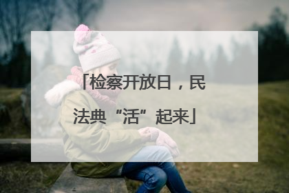 检察开放日，民法典“活”起来