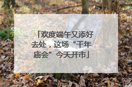 欢度端午又添好去处，这场“千年庙会”今天开市