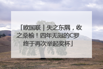 欧国联｜失之东隅，收之桑榆！四年无冠的C罗终于再次举起奖杯