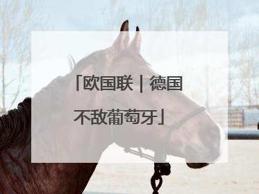 欧国联｜德国不敌葡萄牙