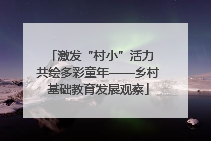 激发“村小”活力 共绘多彩童年——乡村基础教育发展观察