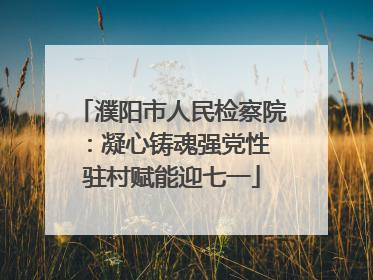 濮阳市人民检察院：凝心铸魂强党性 驻村赋能迎七一
