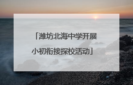潍坊北海中学开展小初衔接探校活动