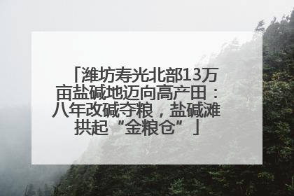 潍坊寿光北部13万亩盐碱地迈向高产田：八年改碱夺粮，盐碱滩拱起“金粮仓”