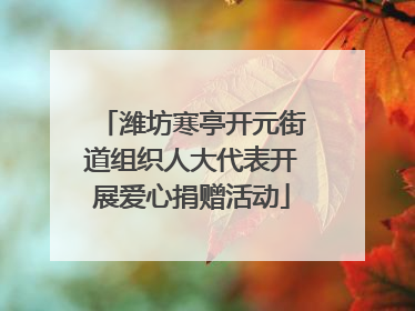 潍坊寒亭开元街道组织人大代表开展爱心捐赠活动