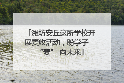 潍坊安丘这所学校开展麦收活动，盼学子 “麦” 向未来