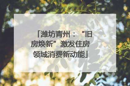 潍坊青州：“旧房焕新”激发住房领域消费新动能