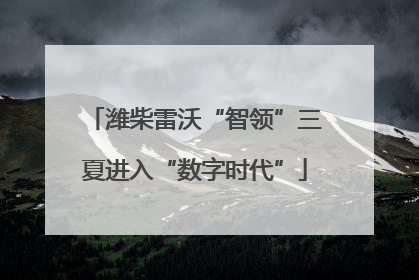 潍柴雷沃“智领”三夏进入“数字时代”