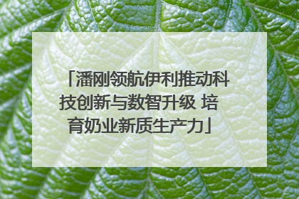 潘刚领航伊利推动科技创新与数智升级 培育奶业新质生产力