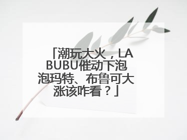 潮玩大火，LABUBU催动下泡泡玛特、布鲁可大涨该咋看？