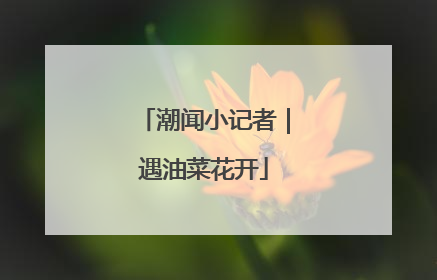 潮闻小记者｜遇油菜花开