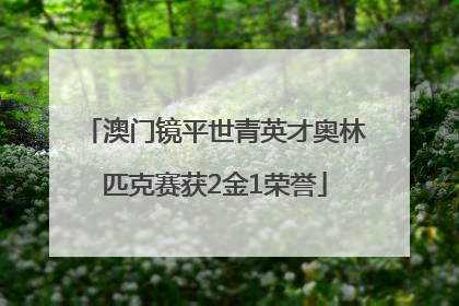 澳门镜平世青英才奥林匹克赛获2金1荣誉
