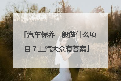 汽车保养一般做什么项目？上汽大众有答案