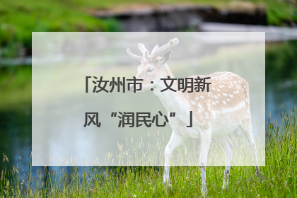 汝州市：文明新风“润民心”