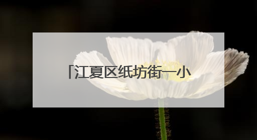 江夏区纸坊街一小区一年逆袭 荣获2024年示范项目