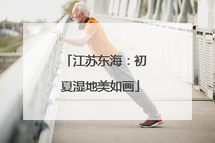 江苏东海：初夏湿地美如画