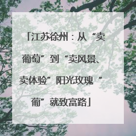 江苏徐州：从“卖葡萄”到“卖风景、卖体验”阳光玫瑰“葡”就致富路