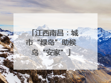 江西南昌：城市“绿岛”助候鸟“安家”