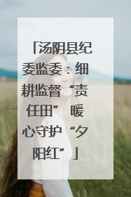 汤阴县纪委监委：细耕监督“责任田” 暖心守护“夕阳红”