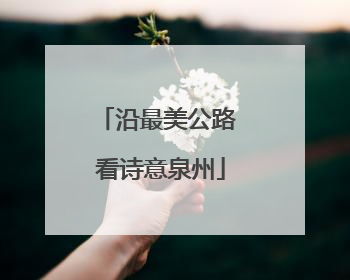 沿最美公路 看诗意泉州