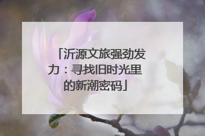 沂源文旅强劲发力：寻找旧时光里的新潮密码