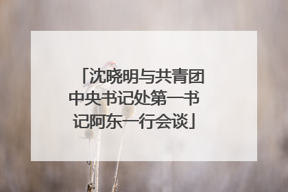 沈晓明与共青团中央书记处第一书记阿东一行会谈