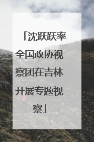 沈跃跃率全国政协视察团在吉林开展专题视察