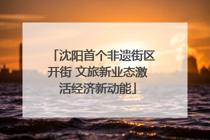 沈阳首个非遗街区开街 文旅新业态激活经济新动能