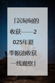沉甸甸的收获——2025年夏季粮油收获一线观察