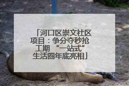河口区崇文社区项目：争分夺秒抢工期 “一站式”生活圈年底亮相