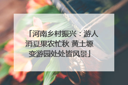 河南乡村振兴：游人消夏果农忙秋 黄土塬变游园处处皆风景