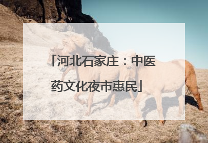 河北石家庄：中医药文化夜市惠民