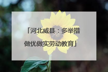 河北威县：多举措做优做实劳动教育