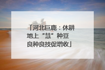 河北巨鹿：休耕地上“慧”种豆 良种良技促增收
