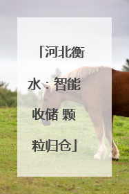 河北衡水：智能收储 颗粒归仓