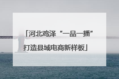 河北鸡泽“一品一播”打造县域电商新样板