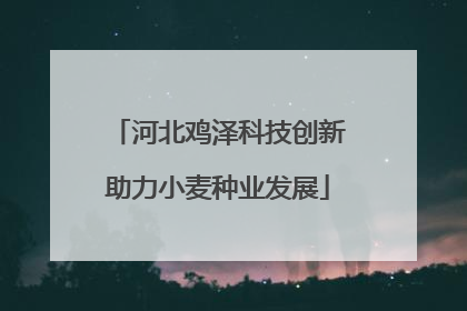 河北鸡泽科技创新助力小麦种业发展