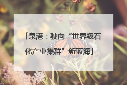 泉港：驶向“世界级石化产业集群”新蓝海