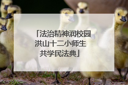 法治精神润校园 洪山十二小师生共学民法典