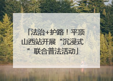 法治+护路！平顶山西站开展“沉浸式”联合普法活动